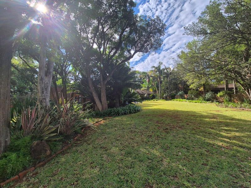 Family Home with Pool, Entertainment Area and Borehole - Louis Trichardt - Photo 3