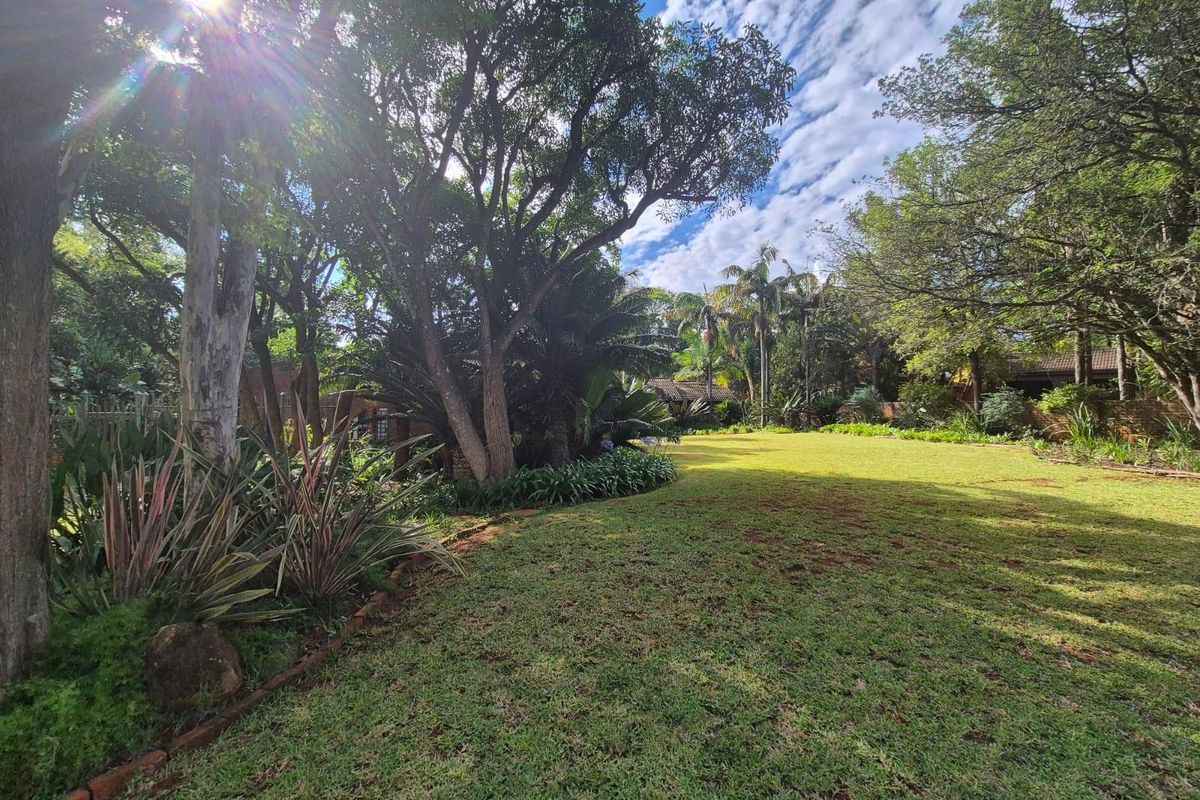 Family Home with Pool, Entertainment Area and Borehole - Louis Trichardt - Photo 3