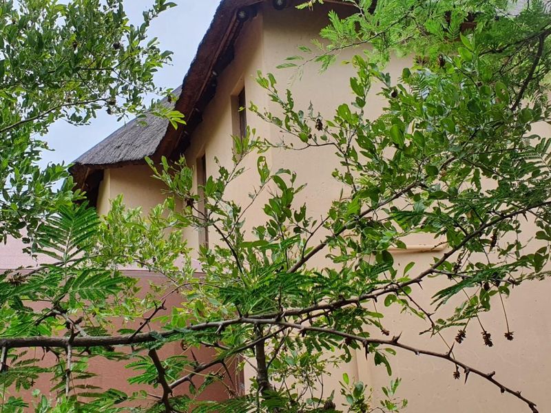 EXCLUSIVE FURNISHED PROPERTY FOR SALE - Photo 4