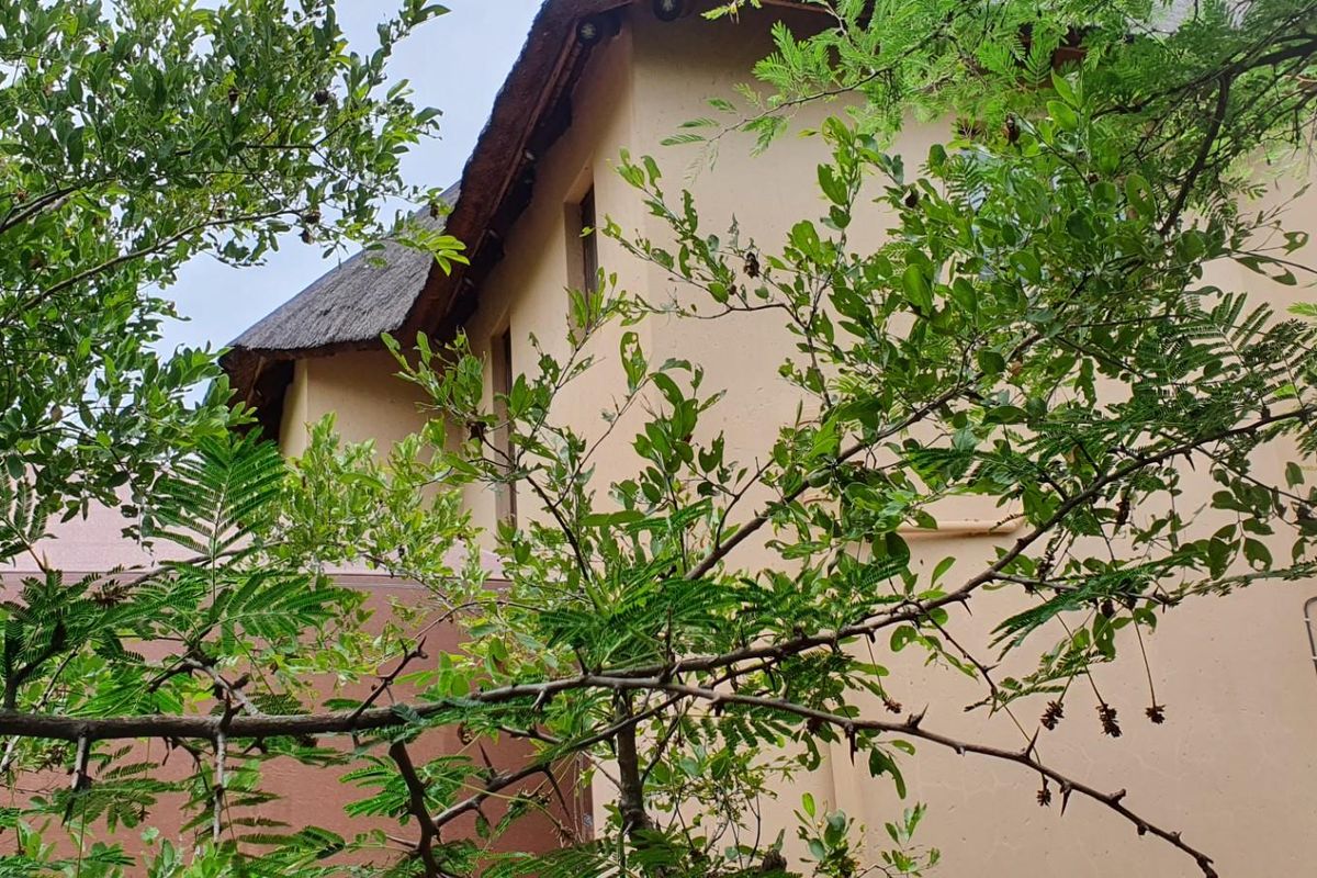 EXCLUSIVE FURNISHED PROPERTY FOR SALE - Photo 4