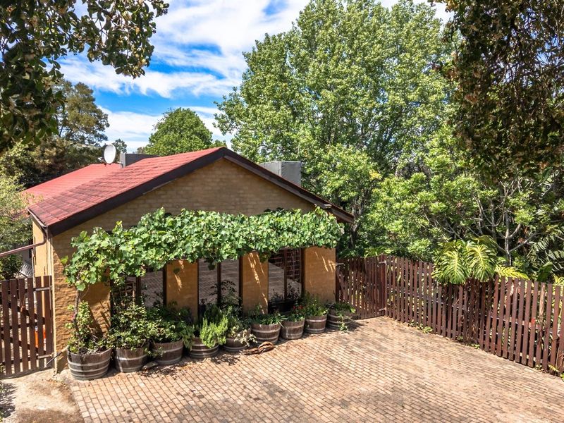 Forest-Like Garden Retreat - Hunters Home - Photo 3