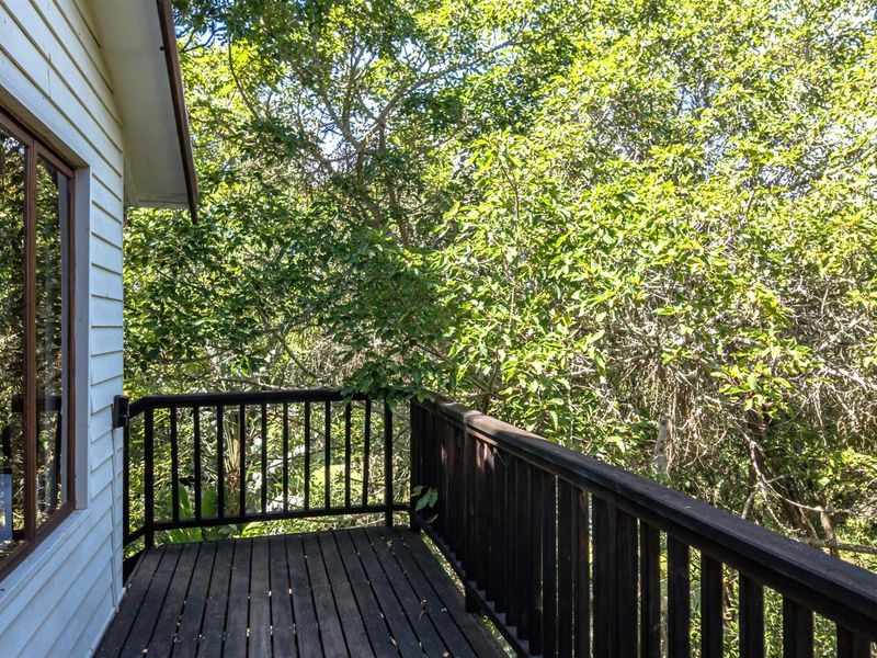 Forest-Like Garden Retreat - Hunters Home - Photo 5