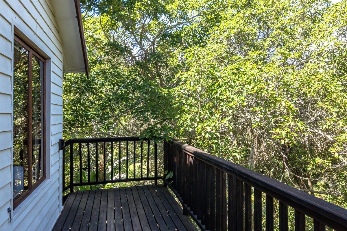 Forest-Like Garden Retreat - Hunters Home - Photo 5