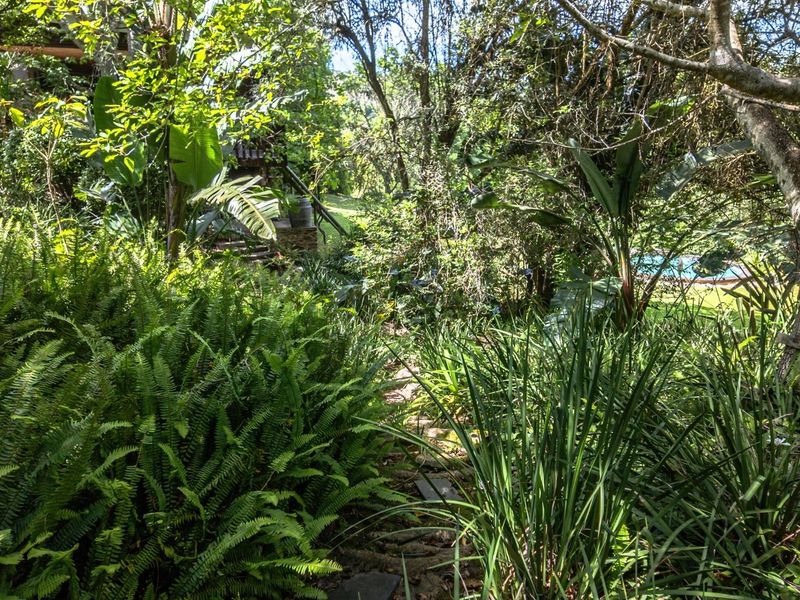 Forest-Like Garden Retreat - Hunters Home - Photo 8