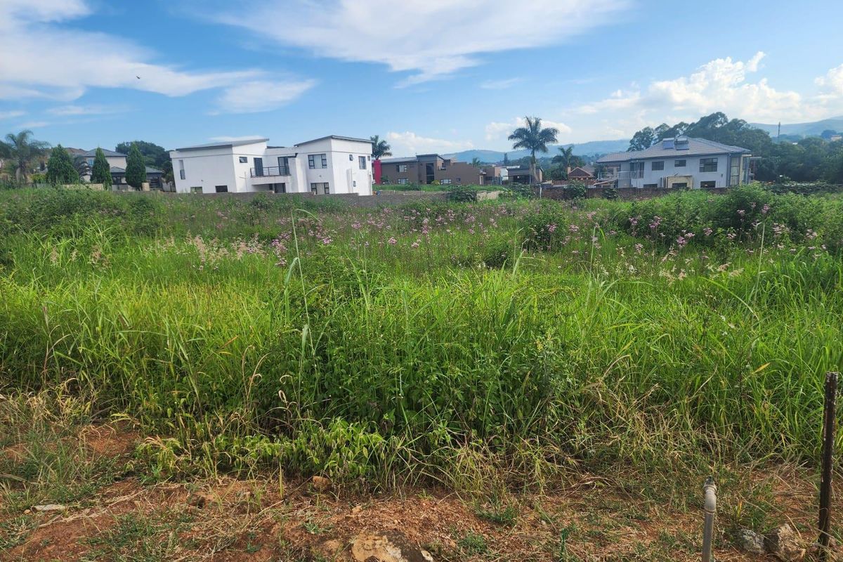 A vacant residential plot featuring natural grass and vegetation, situated in a developed neighborhood with surrounding modern homes.