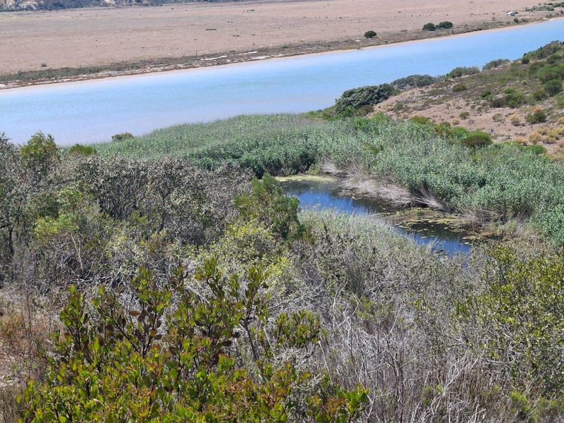 A scenic elevated view of the natural landscape, featuring a small pond surrounded by native vegetation and a nearby river or lagoon.