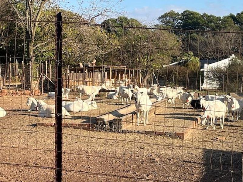 Farm For Sale in Nestpark AH, Bronkhorstspruit - Photo 10