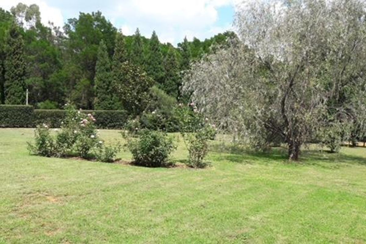 A well-maintained, expansive green lawn featuring mature trees, established rose bushes, and a dense perimeter of tall evergreen hedges.