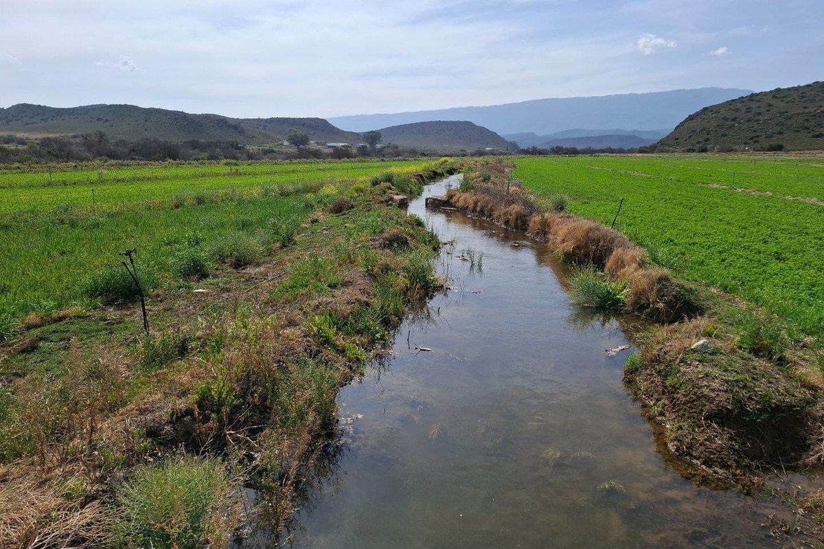 Farm For Sale in Ladismith Rural, Ladismith - Photo 2