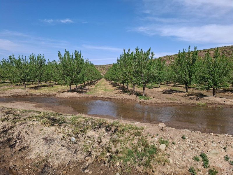 Farm For Sale in Ladismith Rural, Ladismith - Photo 1
