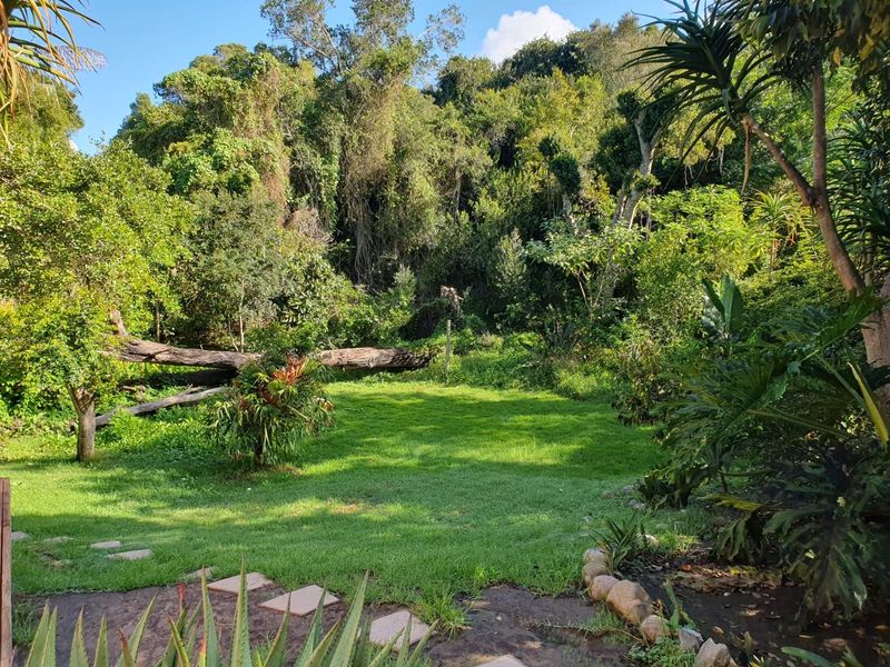 A lush, green garden area featuring a manicured lawn, stone pathway elements, and a natural backdrop of dense mature trees and vegetation.