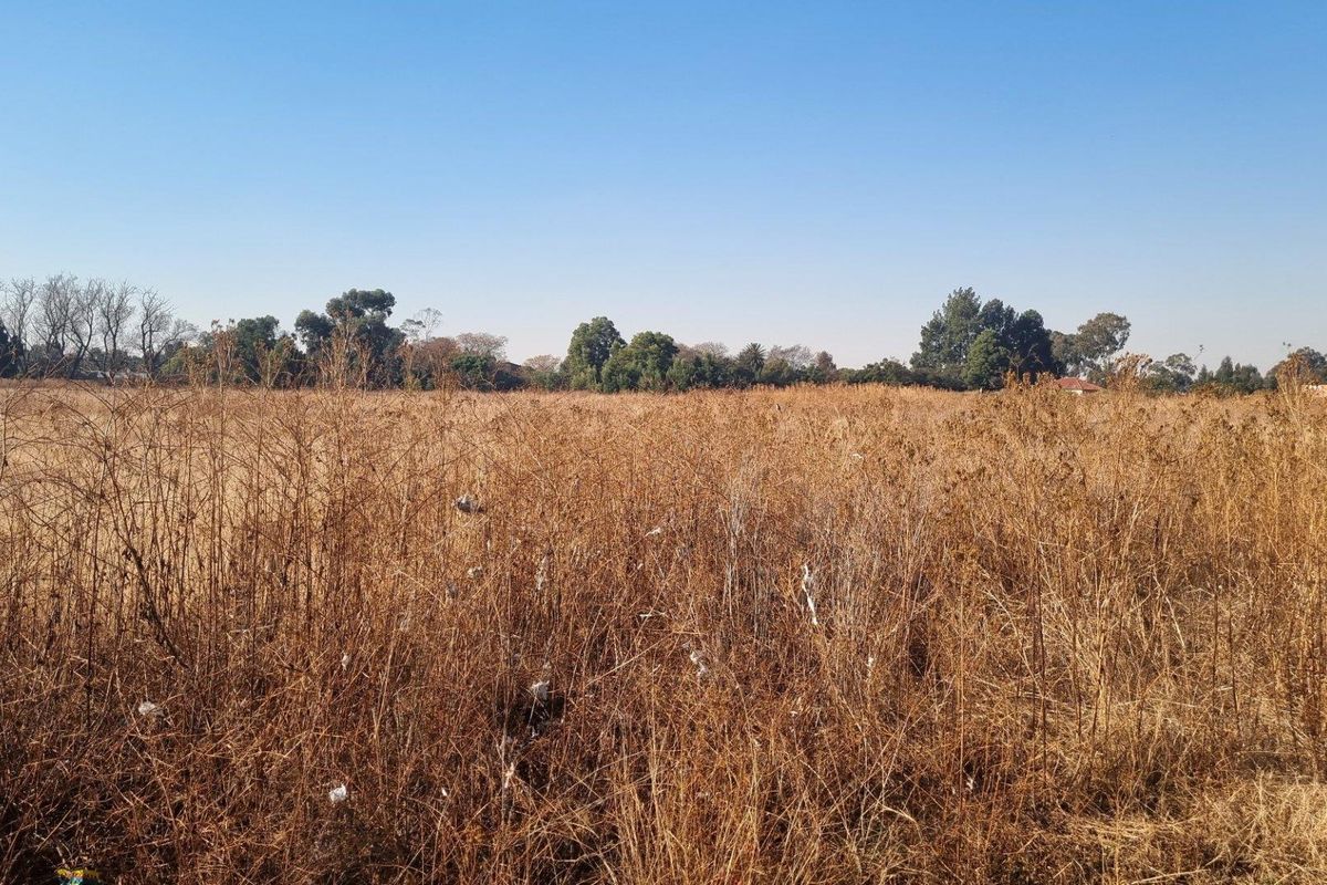Farm For Sale in Sesfontein, Benoni - Photo 4