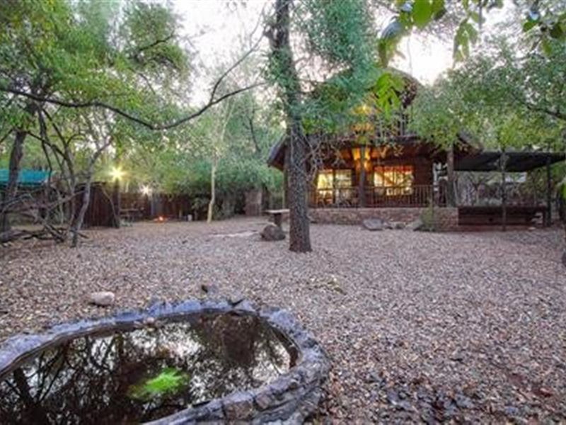 Wildlife, at Your Doorstep - Two -Bedroom, Bush Haven! - Photo 7