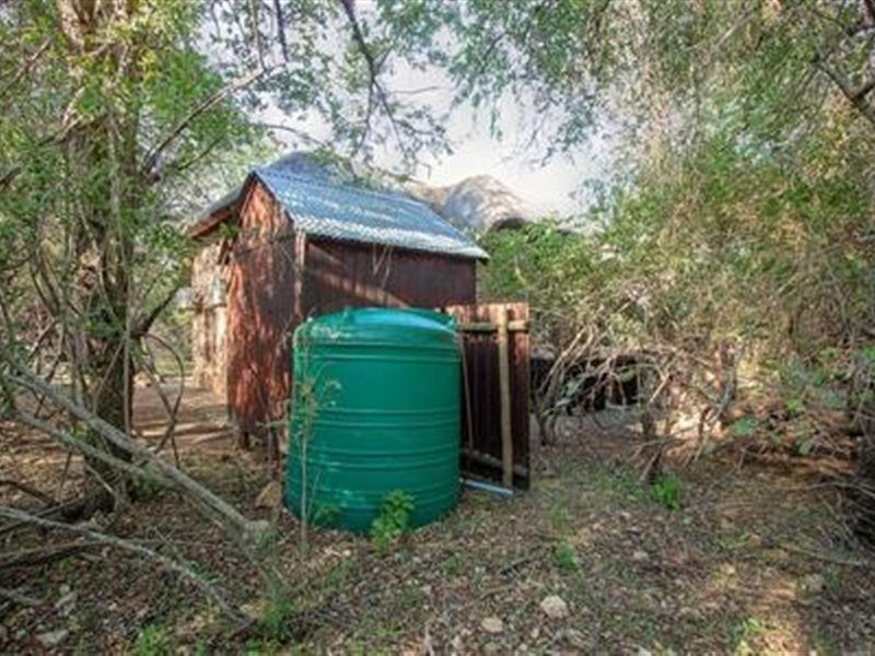 Wildlife, at Your Doorstep - Two -Bedroom, Bush Haven! - Photo 5