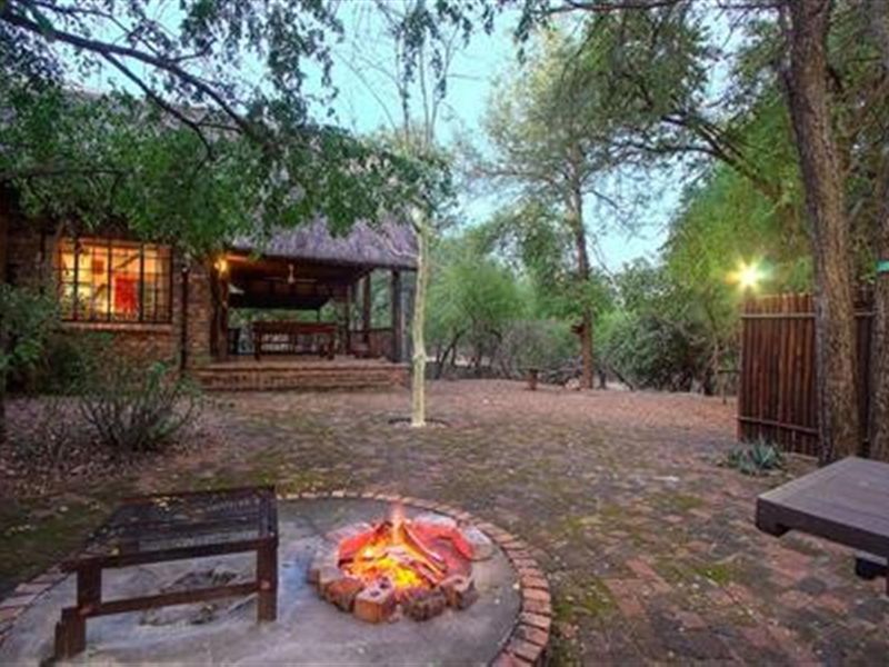 Wildlife, at Your Doorstep - Two -Bedroom, Bush Haven! - Photo 2