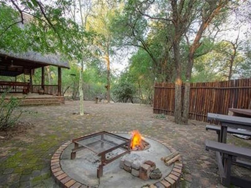 Wildlife, at Your Doorstep - Two -Bedroom, Bush Haven! - Photo 4