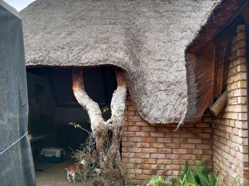 House For Sale in Visagie Park, Nigel - Photo 8