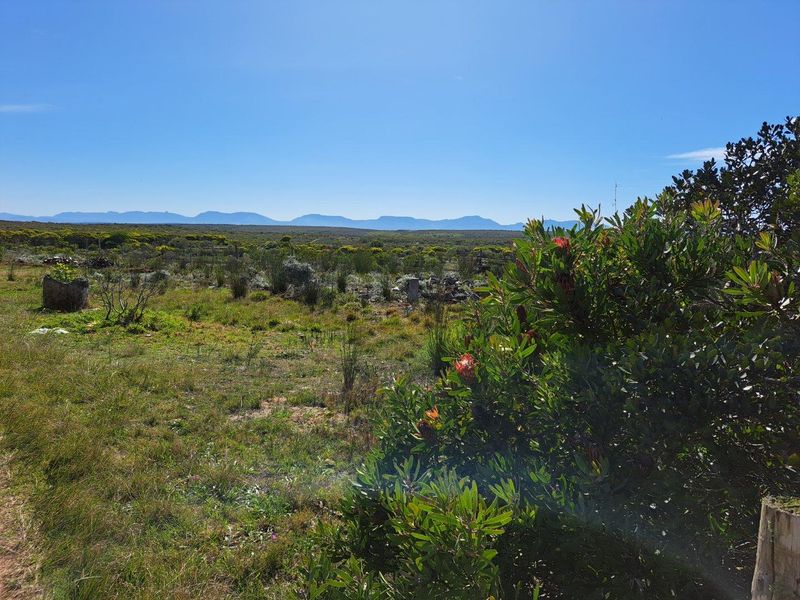 Farm For Sale in Stilbaai Rural, Stilbaai - Photo 9
