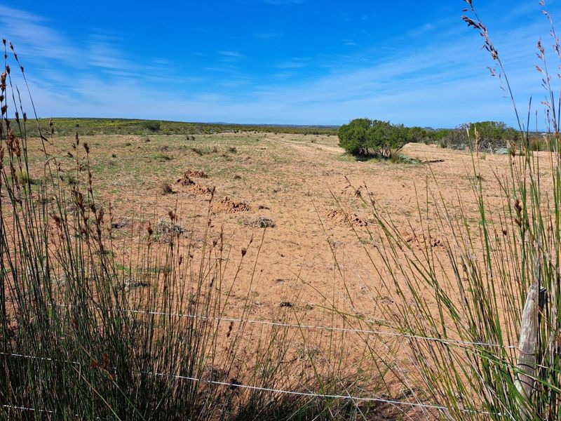 Farm For Sale in Stilbaai Rural, Stilbaai - Photo 8