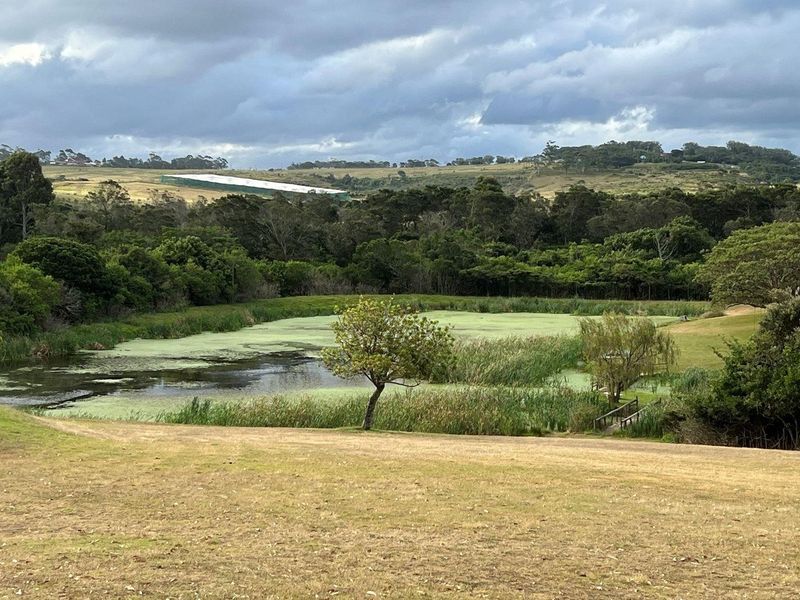 Vacant Land For Sale at Two Swans in Kwelera, East London - Photo 9
