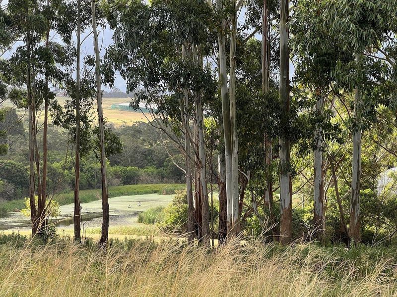Vacant Land For Sale at Two Swans in Kwelera, East London - Photo 10