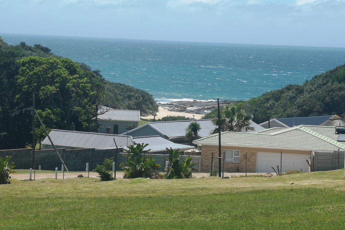 A scenic view overlooking a coastal residential area with established homes, lush greenery, and a clear outlook toward the ocean.