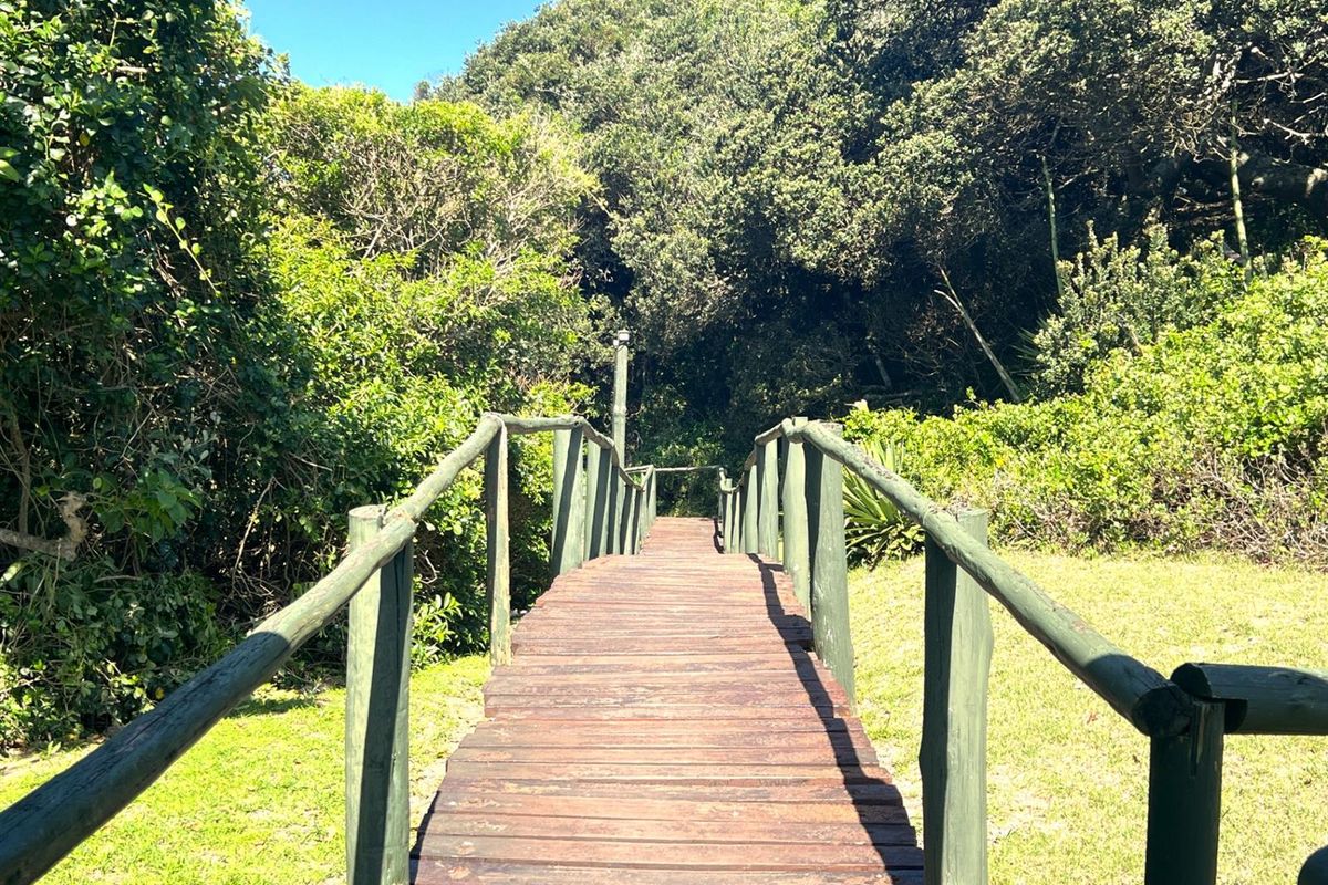 A wooden pedestrian bridge with handrails providing access through a lush, naturally landscaped garden area.