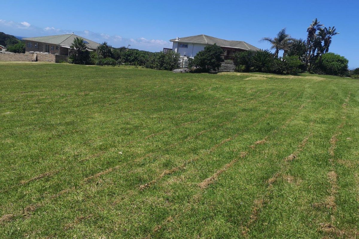 A wide, open residential plot featuring well-maintained grass, offering a clear view of neighboring properties and established landscaping.