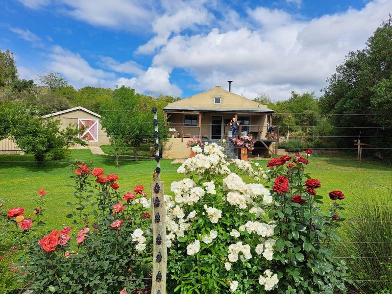 Farm For Sale in Heidelberg Rural, Heidelberg - Photo 4