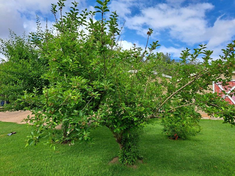 Farm For Sale in Heidelberg Rural, Heidelberg - Photo 10