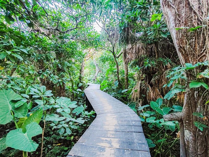 Across the Road from the beach in Ballito, KwaZulu Natal - Photo 4