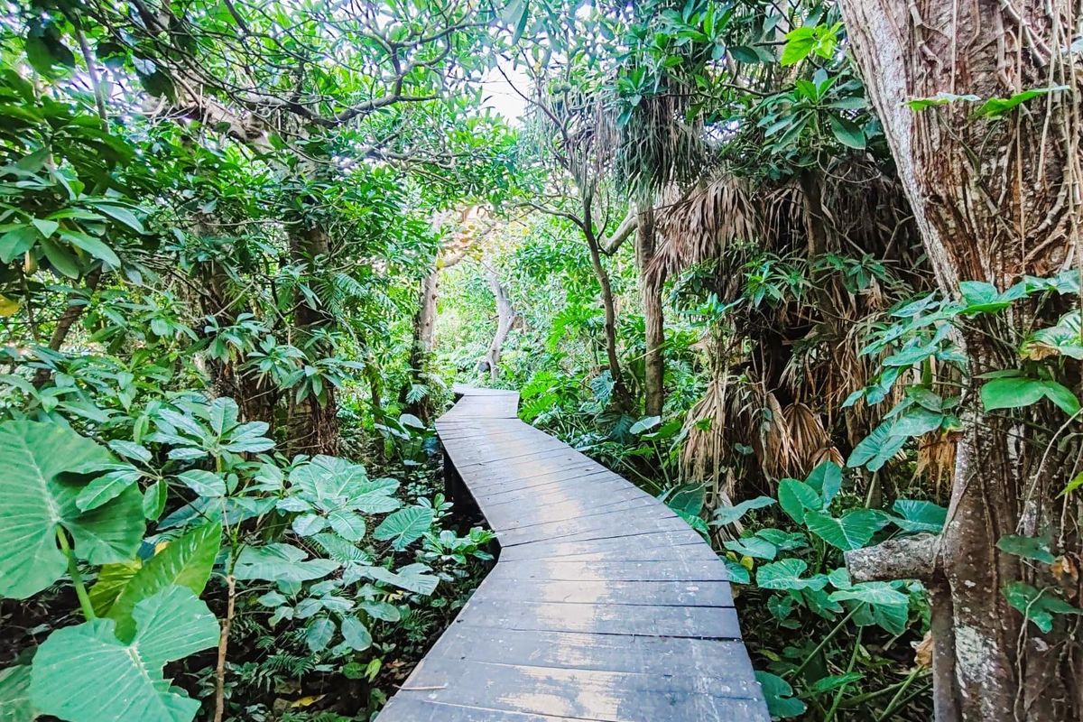 Across the Road from the beach in Ballito, KwaZulu Natal - Photo 4