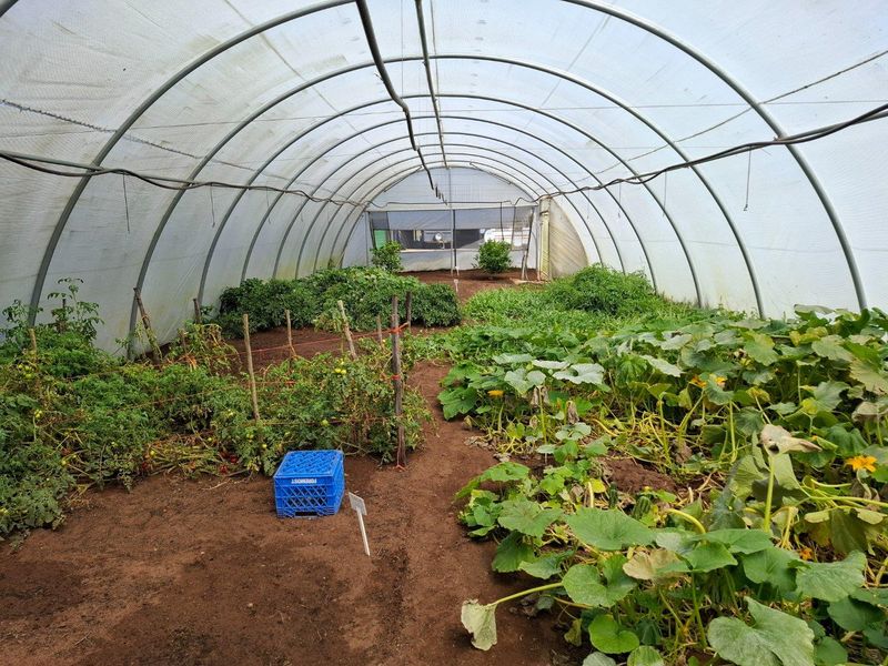 Farm For Sale in Stilbaai Rural, Stilbaai - Photo 3