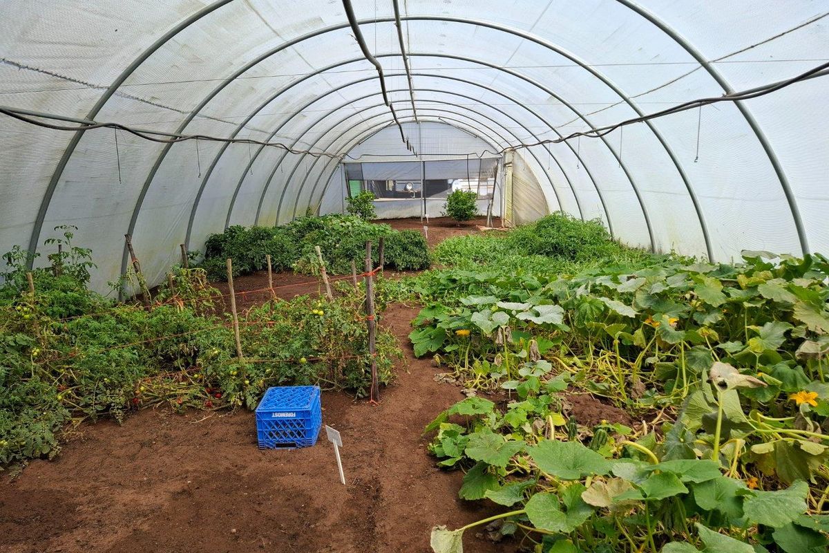 Farm For Sale in Stilbaai Rural, Stilbaai - Photo 3