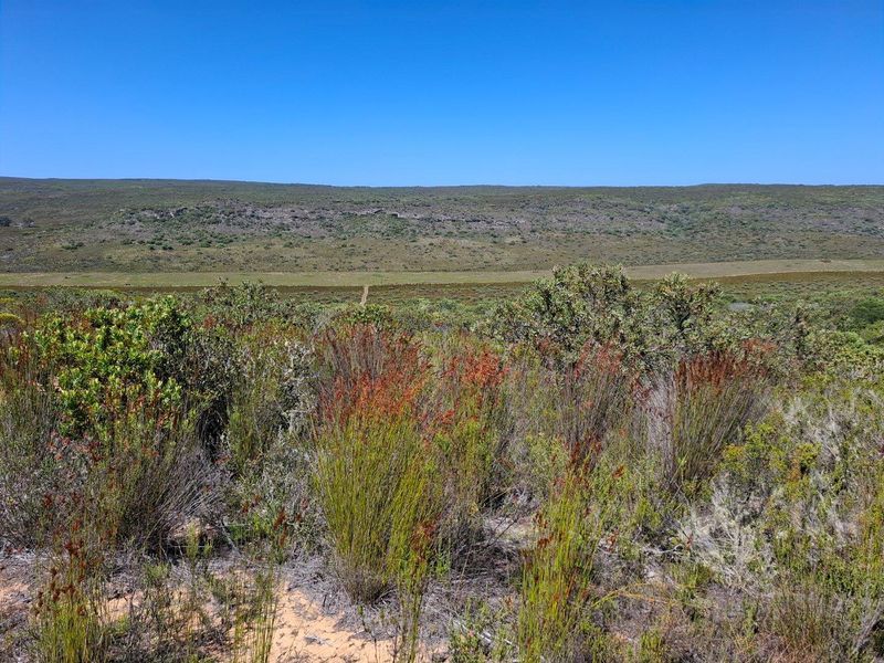 Farm For Sale in Stilbaai Rural, Stilbaai - Photo 8