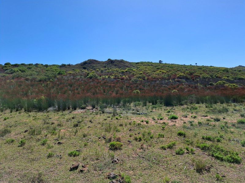 Farm For Sale in Stilbaai Rural, Stilbaai - Photo 10