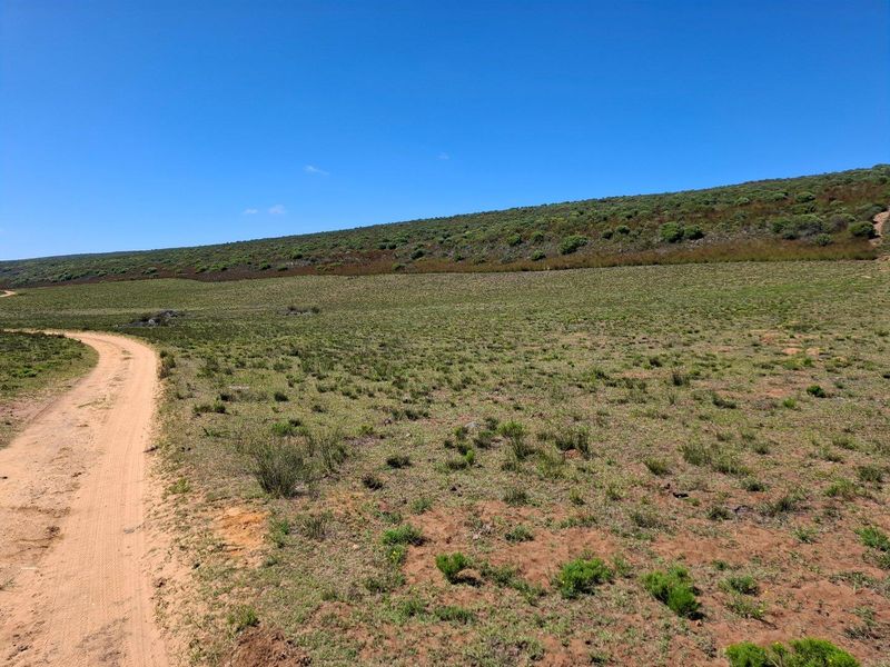 Farm For Sale in Stilbaai Rural, Stilbaai - Photo 9