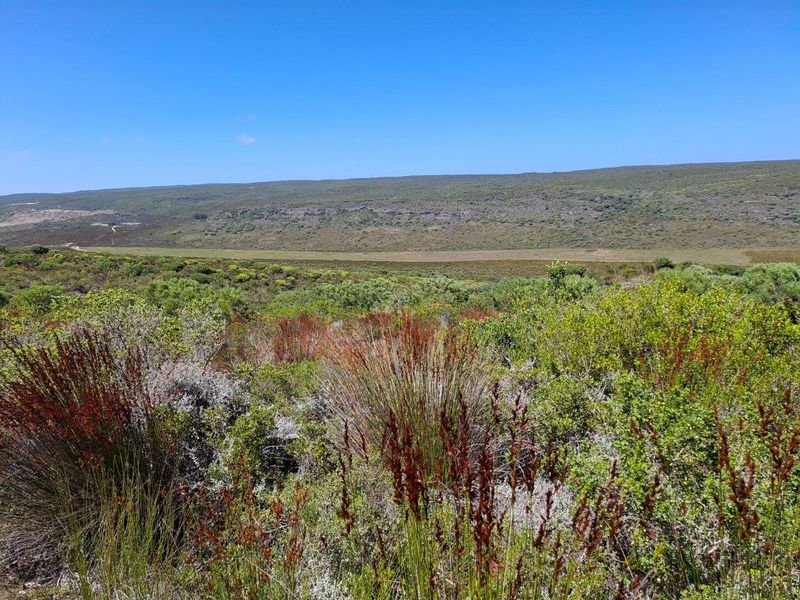 Farm For Sale in Stilbaai Rural, Stilbaai - Photo 1