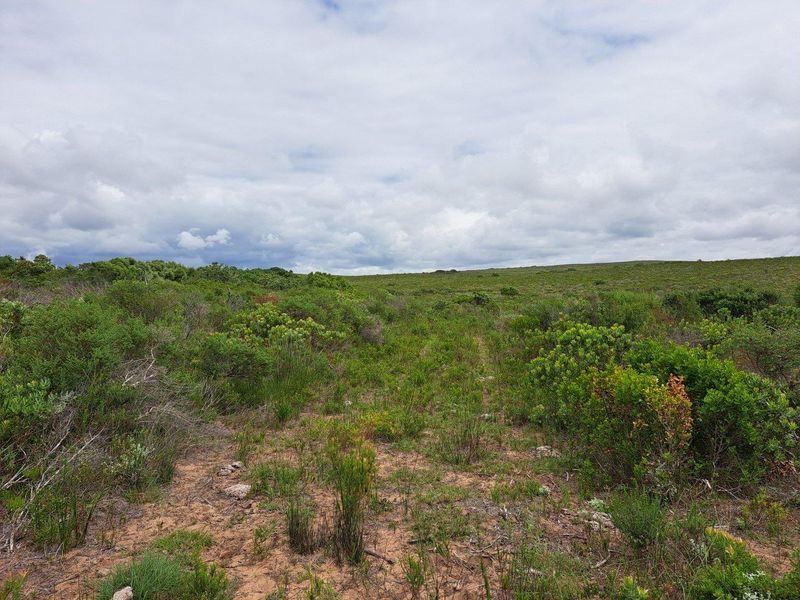 Farm For Sale in Stilbaai Rural, Stilbaai - Photo 8