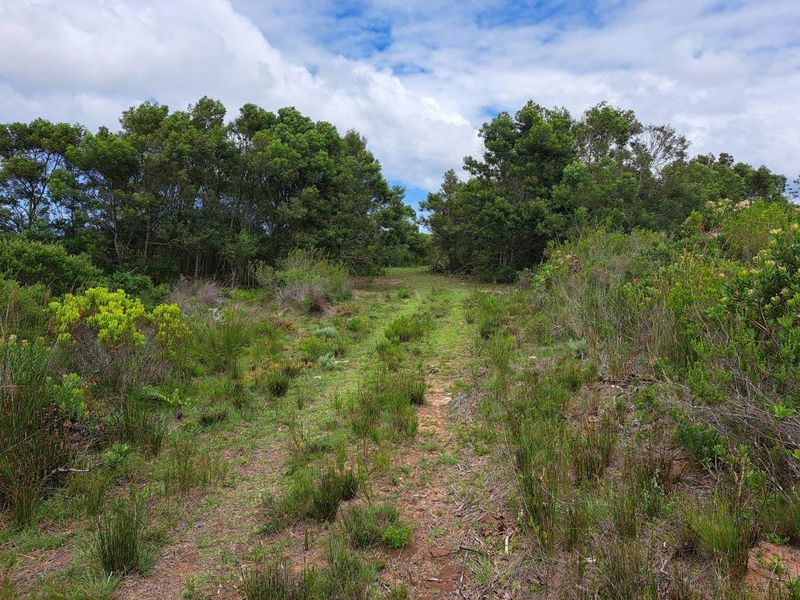 Farm For Sale in Stilbaai Rural, Stilbaai - Photo 6