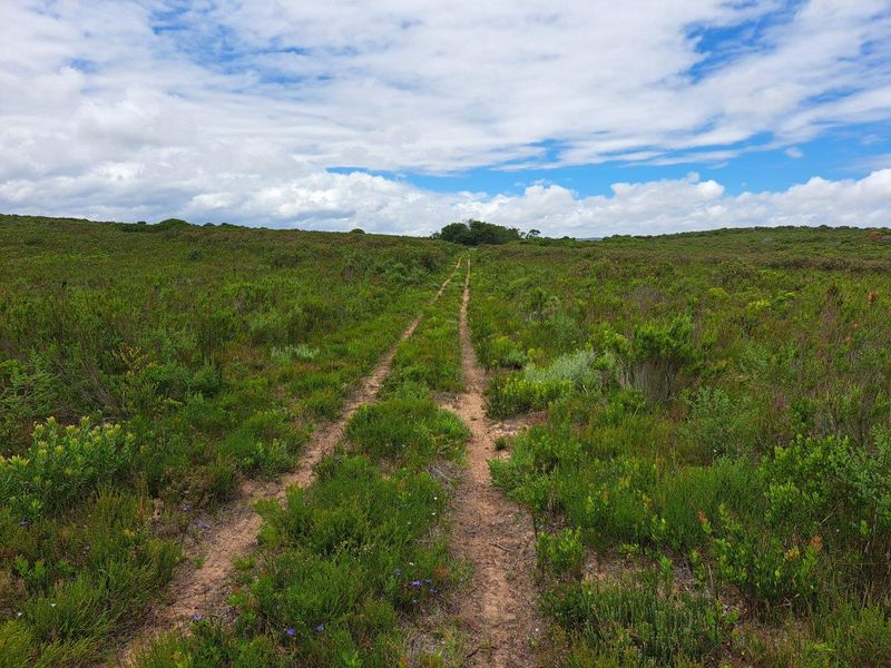 Farm For Sale in Stilbaai Rural, Stilbaai - Photo 10