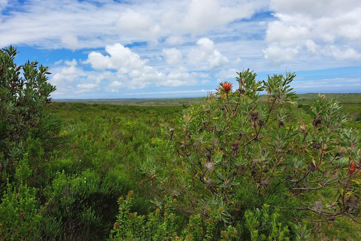 Farm For Sale in Stilbaai Rural, Stilbaai - Photo 5