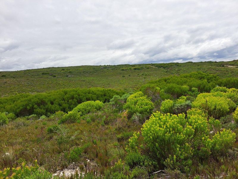 Farm For Sale in Stilbaai Rural, Stilbaai - Photo 4