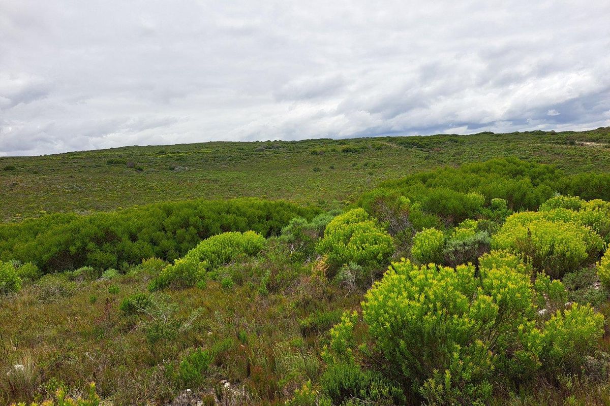 Farm For Sale in Stilbaai Rural, Stilbaai - Photo 4