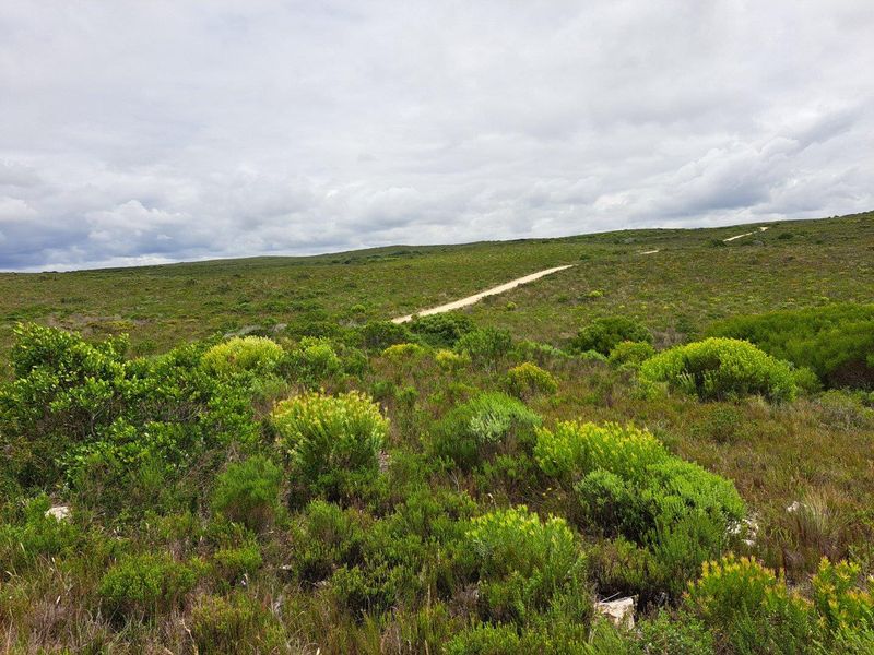 Farm For Sale in Stilbaai Rural, Stilbaai - Photo 3