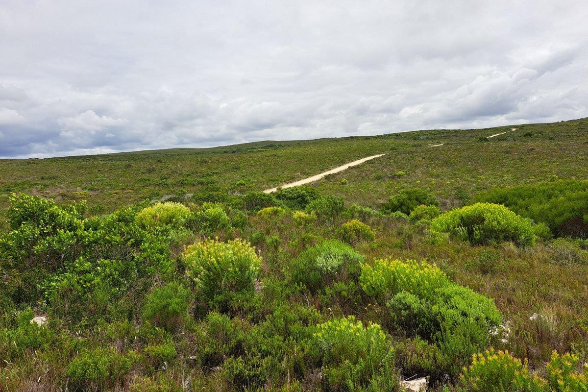 Farm For Sale in Stilbaai Rural, Stilbaai - Photo 3