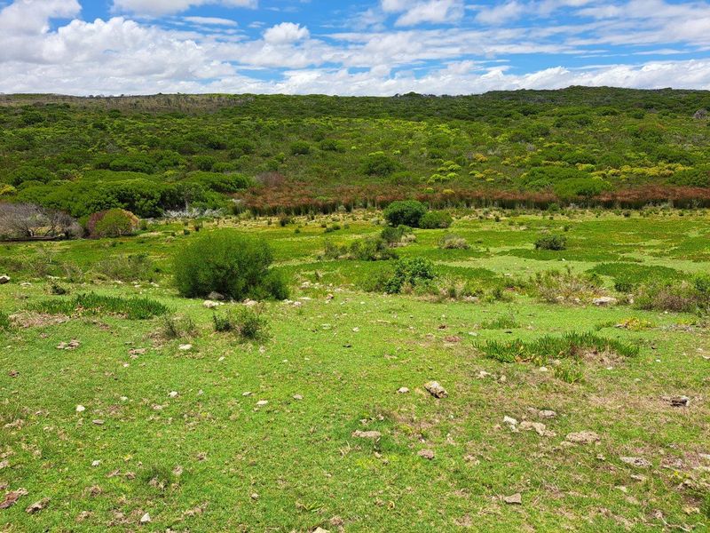 Farm For Sale in Stilbaai Rural, Stilbaai - Photo 1