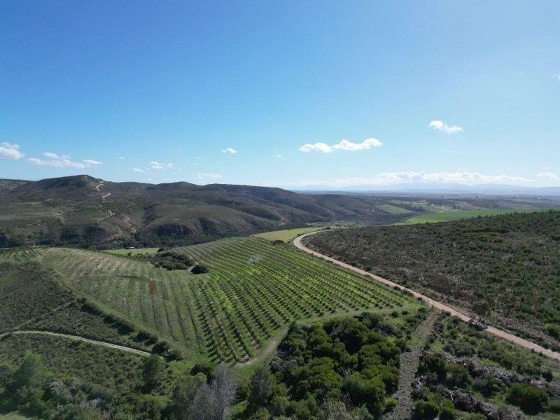 Farm For Sale in Riversdale Rural, Riversdale - Photo 4