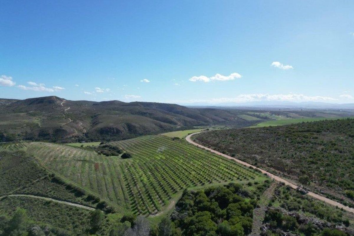 Farm For Sale in Riversdale Rural, Riversdale - Photo 4