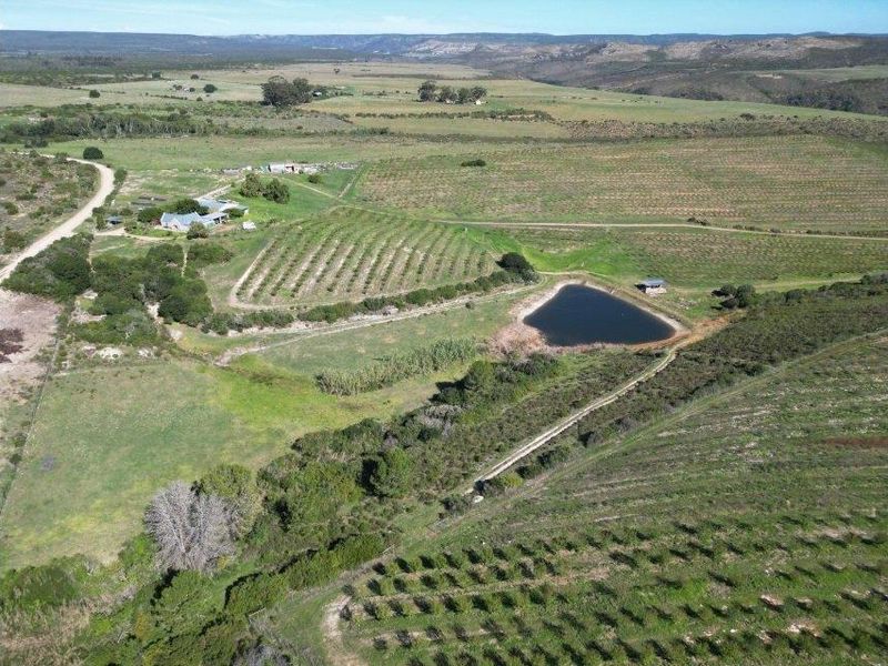 Farm For Sale in Riversdale Rural, Riversdale - Photo 5